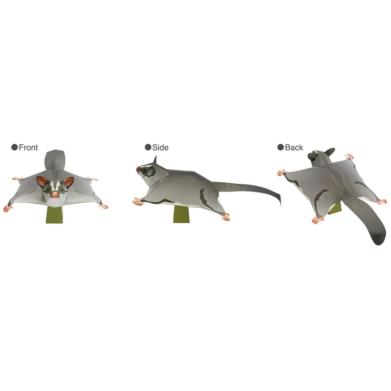 Sugar Glider Flying Mouse Hand - огляд і ціна Art Craft Cardboard