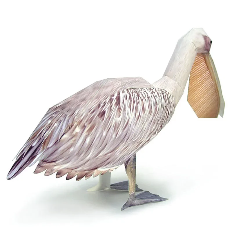 Great White Pelican Bird Paper - огляд і ціна Art Craft Cardboard